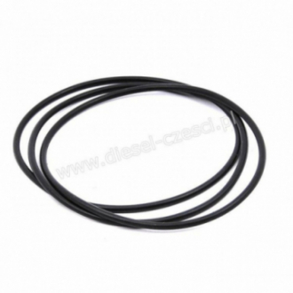 CUMMINS 6CT / ISC, O-RING