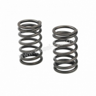 DEUTZ, VALVE SPRING
