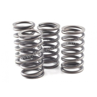 CUMMINS, VALVE SPRING 60 PSI