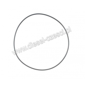 O-RING LINER CUMMINS K19