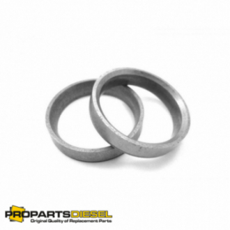 GNIAZDO ZAWOROWE IN...