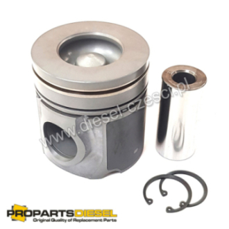 PISTON WITH PIN AND CLIPS...