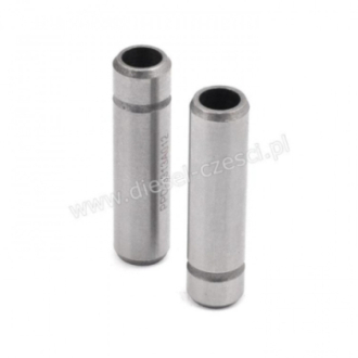 PROWADNICA ZAWOROWA IN...