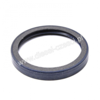 CRANKSHAFT REAR OIL SEAL...