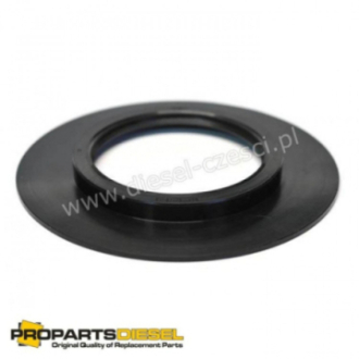 CRANKSHAFT OIL SEAL REAR...