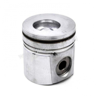 PISTON WITH PIN AND CLIPS...