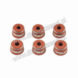 USZCZELNIACZ ZAWOROWY...