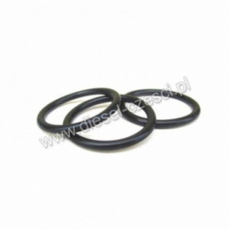 CUMMINS, THERMOSTAT O-RING