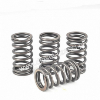 VOLVO, VALVE SPRING IN/EX