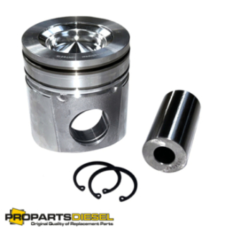 PISTON WITH PIN AND CLIPS...