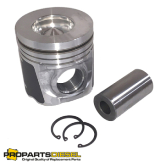 PISTON WITH PIN AND CLIPS...