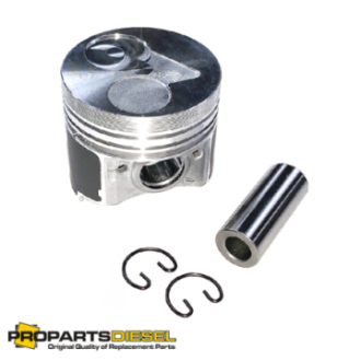 PISTON WITH PIN AND CLIPS...
