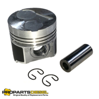 PISTON WITH PIN AND CLIPS...