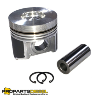 PISTON WITH PIN AND CLIPS...