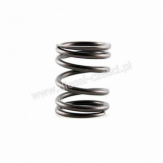PERKINS, OUTER VALVE SPRING