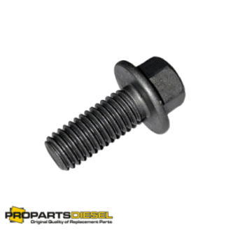 HEXAGON FLANGE HEAD CAP...