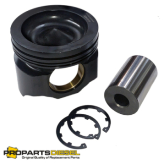 PISTON WITH PIN AND CLIPS...