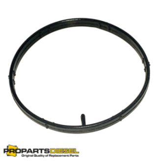 IN MANIFOLD GASKET...