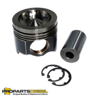 PISTON WITH PIN & CLIPS...