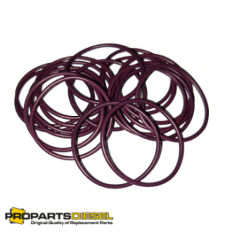 INJECTOR O-RING CUMMINS