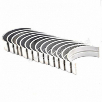 PANEWKI GŁÓWNE CUMMINS LT10...