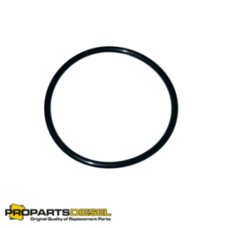 O-RING WTRYSKU CUMMINS KTA19
