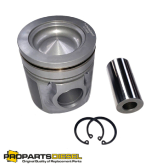 PISTON WITH PIN AND CLIPS...