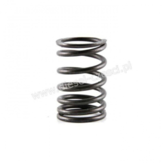 INNER VALVE SPRING...