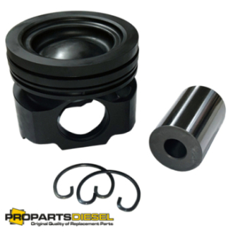 PISTON WITH PIN AND CLIPS...