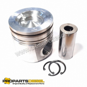 PISTON WITH PIN AND CLIPS...