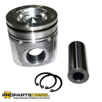 PISTON WITH PIN AND CLIPS...