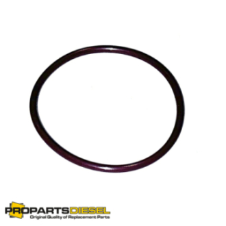 CUMMINS QSX15, INJECTOR O-RING