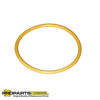 CUMMINS QSX15, INJECTOR O-RING