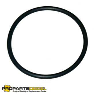 THERMOSTAT HOUSING O-RING...