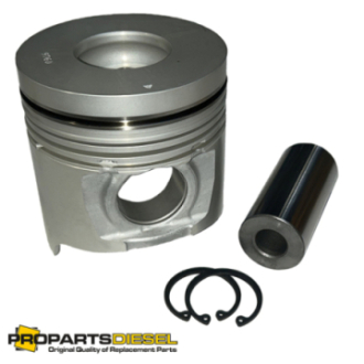 PISTON WITH PIN & CLIPS...