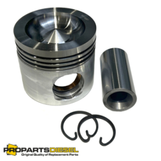 PISTON WITH PIN AND CLIPS...