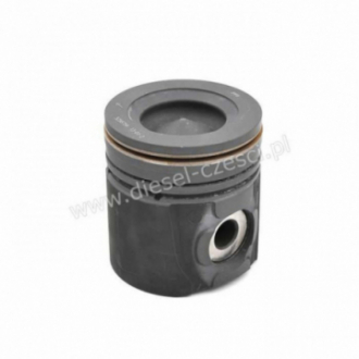 PISTON WITH PIN AND CLIPS...