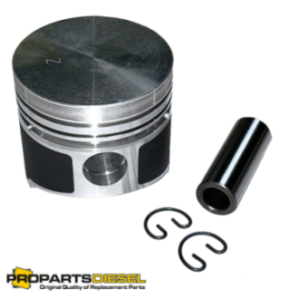 PISTON WITH PIN AND CLIPS...