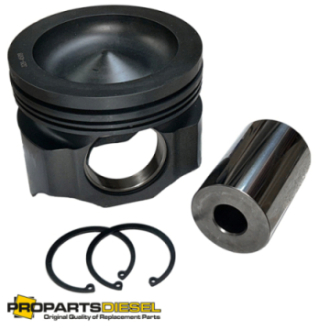 PISTON WITH PIN AND CLIPS...