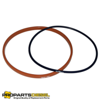 O-RING TULEI PERKINS 1306