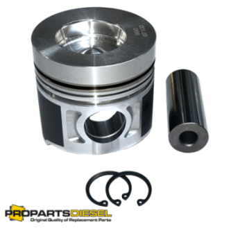 PISTON WITH PIN AND CLIPS...