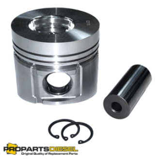 PISTON WITH PIN AND CLIPS...