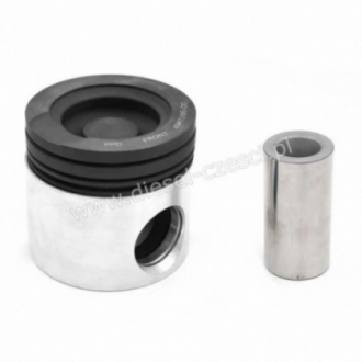 PISTON WITH PIN & CLIPS...