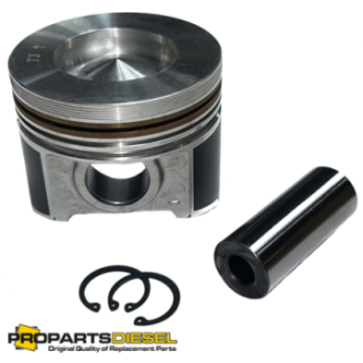 PISTON WITH PIN AND CLIPS...