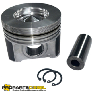 PISTON WITH PIN AND CLIPS...