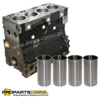 CYLINDER BLOCK WITH LINERS...