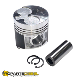 PISTON WITH PIN AND CLIPS...