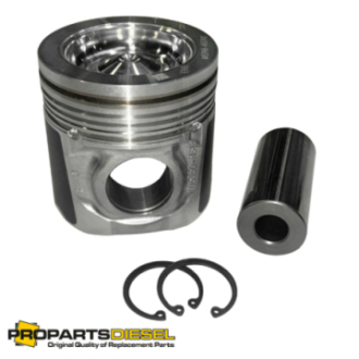PISTON WITH PIN AND CLIPS...
