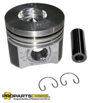 PISTON WITH PIN AND CLIPS...