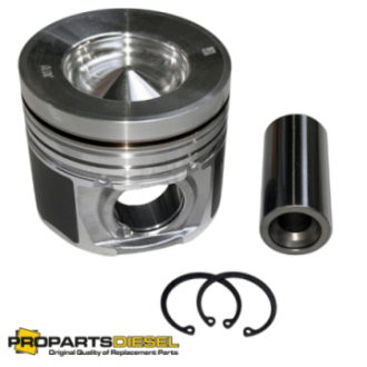 PISTON WITH PIN & CLIPS...